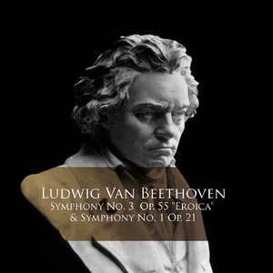 Symphony No. 1 in C Major:III. Menuetto . Allegro molto e vivace