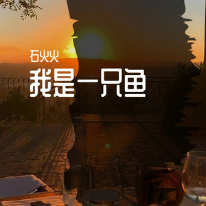 我是一只鱼（翻自 石火火）