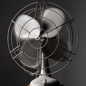 Fan