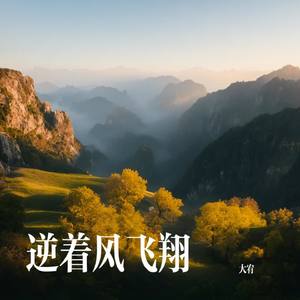 逆着风飞翔