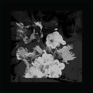 Fade & Portray (Original Mix)