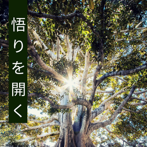 幸せをつかむ黄色い花