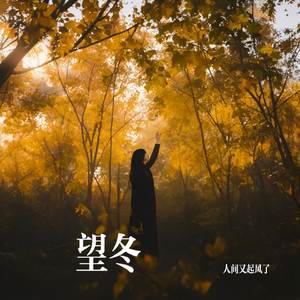 望冬