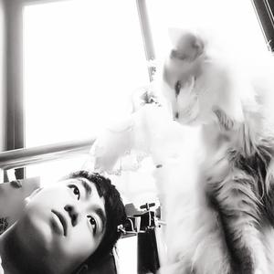 没醒来 猫和我一样