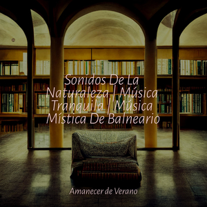 Deliberaciones Envolventes