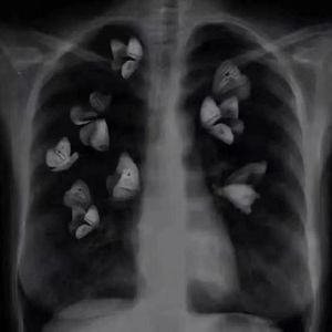 回忆抽屉（prod.jos10)