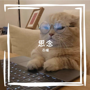 思念 伴奏