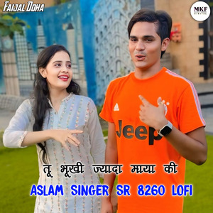 Aslam Singer SR 8260 Lofi