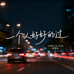 一个人好好的过（伤感版）