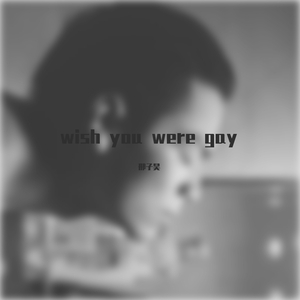 wish you were gay