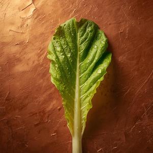 Salat (Electric Hardcore Remix)