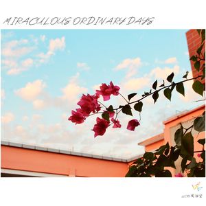 miraculous ordinary days