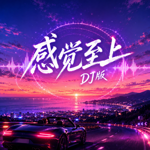 感觉至上DJ