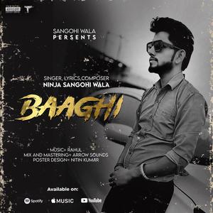 Baaghi