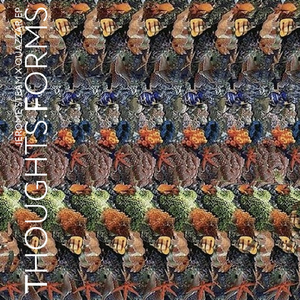 Papuas (Radio Version)