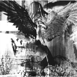 ⊹˚₊‧꒰ა shes my seraphim ໒꒱ ‧₊˚⊹