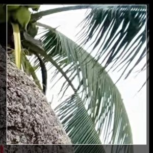 彻彻底底忘记你1675069256829_233356_track0_233356