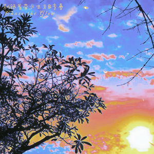 就跟着萤火虫走