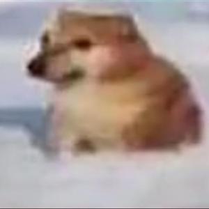 网抑云2_2022-03-25_220924