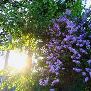 самая лучшая женщина на свете <3