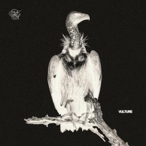 VULTURE