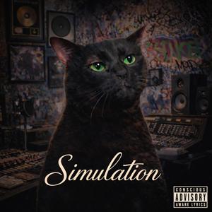 Simulation