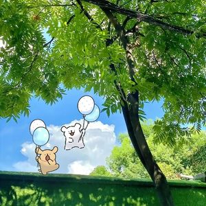 “踏青” Guitar x Melody rap type beat