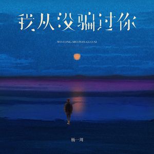 我从没骗过你