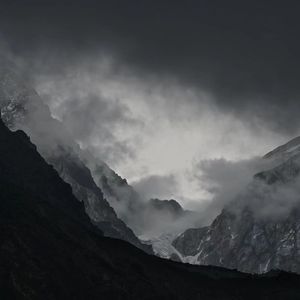 we are the cancer of the world