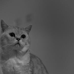 平行线（Prod.Kayzee）