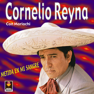 La Desprestigiada