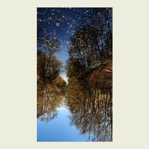 Finnish Finnito (Demo)