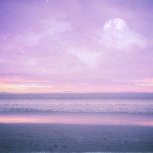 the sea's light deceives my gaze