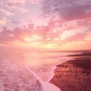 爱意藏风里（热搜）