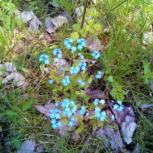 As We Slowly Fade Away (The Slow Sad Summer mix)