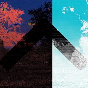 The Leaves Remind Me Of Your Smile