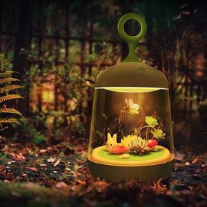 风吹过夏夜的海（催眠曲轻音乐）