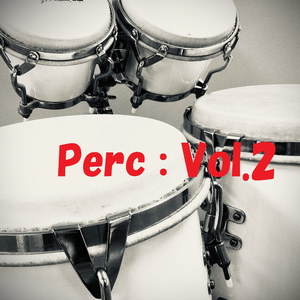 Hand Percussion Juju Teisoko