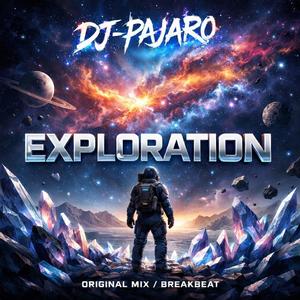 Dj Pajaro Exploration Breakbeat