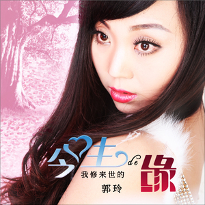 今生的我修来世的缘 (DJ何鹏版伴奏)