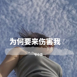 为何要来伤害我DJ（翻自 兮小瓜）