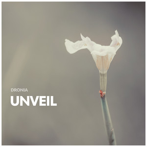 Unveil