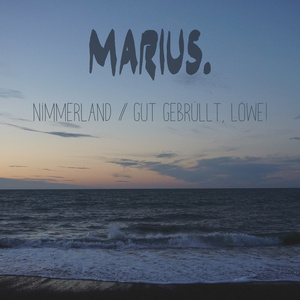 Nimmerland (Acoustic version)