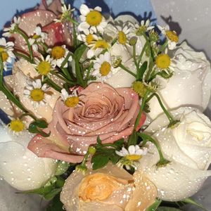 真没狡辩（prod.Gr33nart Beats）