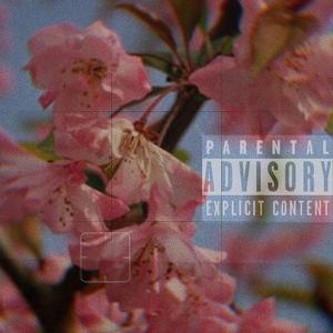 【FREE BEAT】我等吹红了桃花 吹绿了柳树