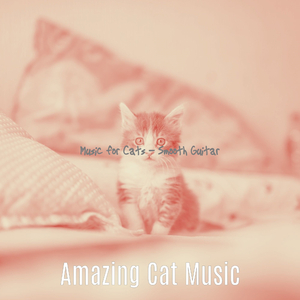 Smooth Music for Cute Cats