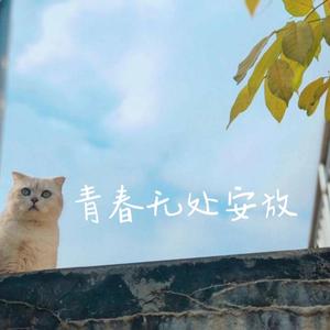 让我偷偷看你 伴奏