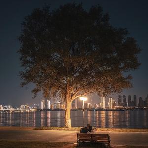 孤独又灿烂的树(Prod By LilSiren)