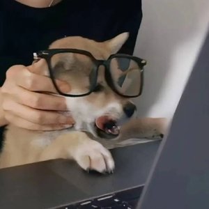 我在等你主动，你在等我有空