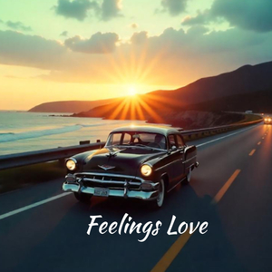 Feelings Love